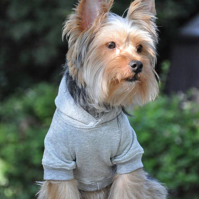 Flex-Fit Pet Hoodie - Gray
