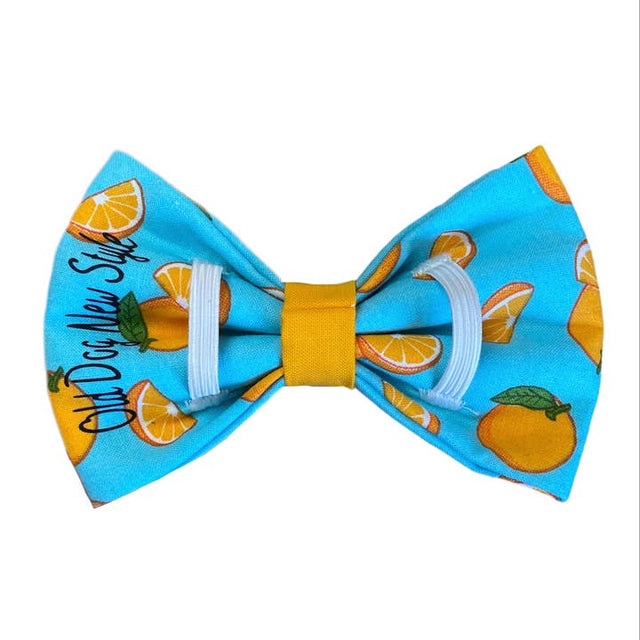Orange Slice Dog Bowtie