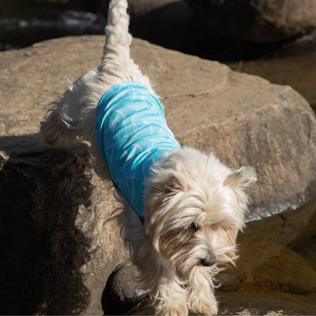 Dobby Cooling T-Shirt - Turquois Geo