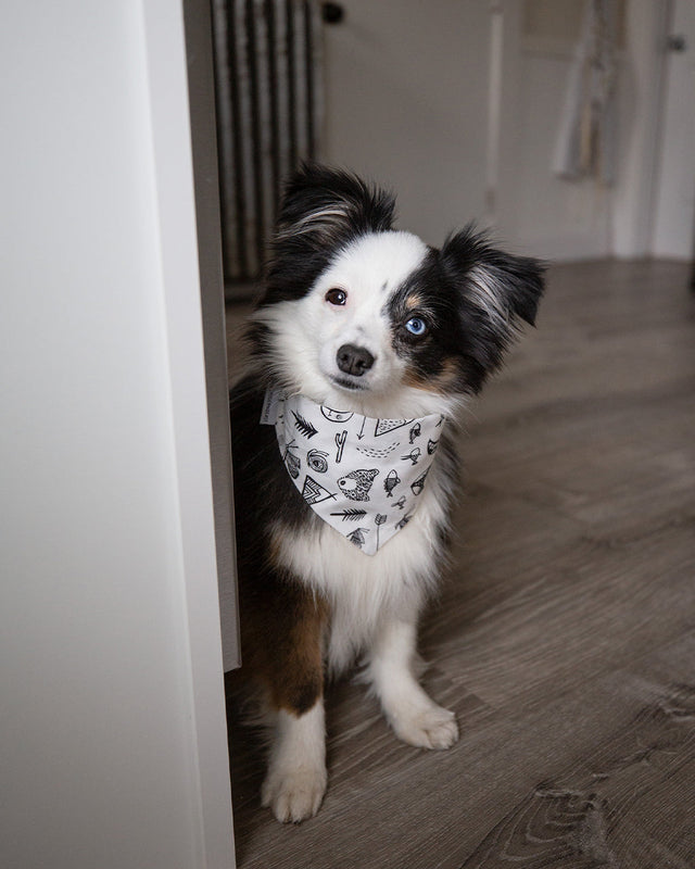 ADVENTURE BANDANA