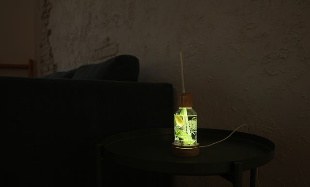 Grapefruit Mood Lamp Reed Diffuser