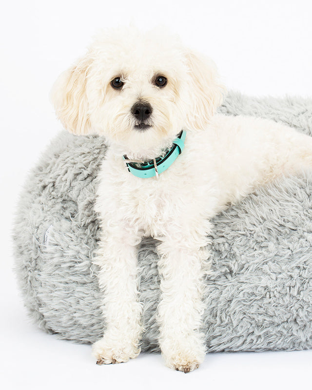 POD PET BED