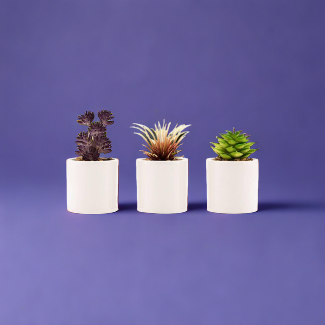 Small Faux Succulent Plants - Set of 6