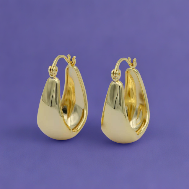 Gold Thick Hoop Earrings