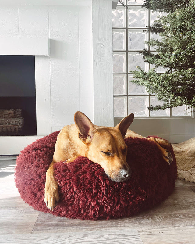 POD PET BED