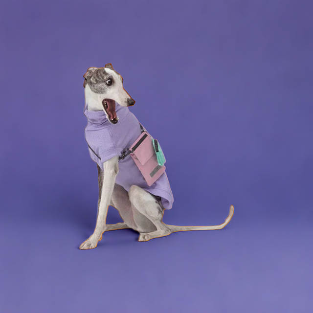 Gobi+: UPF 50+ Sun Protection Tee - Lavender