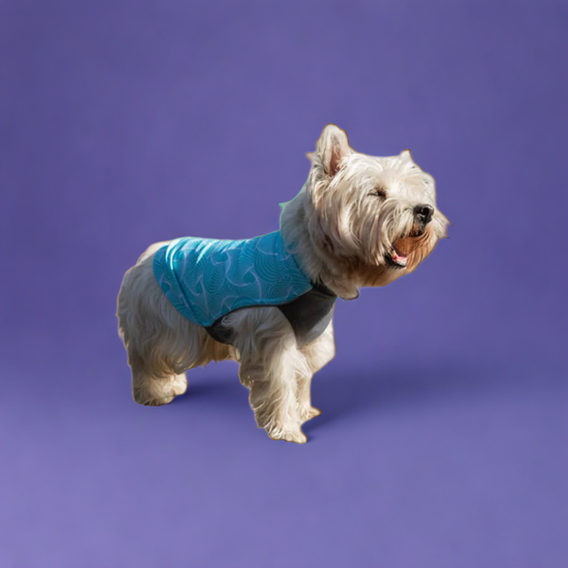 Dobby Cooling T-Shirt - Turquois Geo
