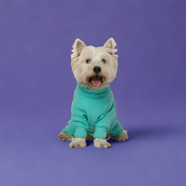 Gumdrop Onesie - Teal