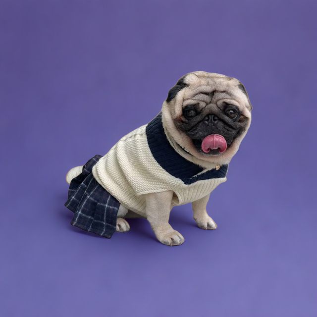 JK Sweater - Ivory / Navy Skirt