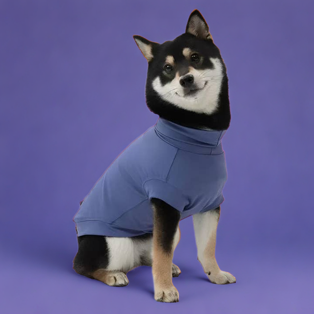 Gobi+: UPF 50+ Sun Protection Tee - Grape