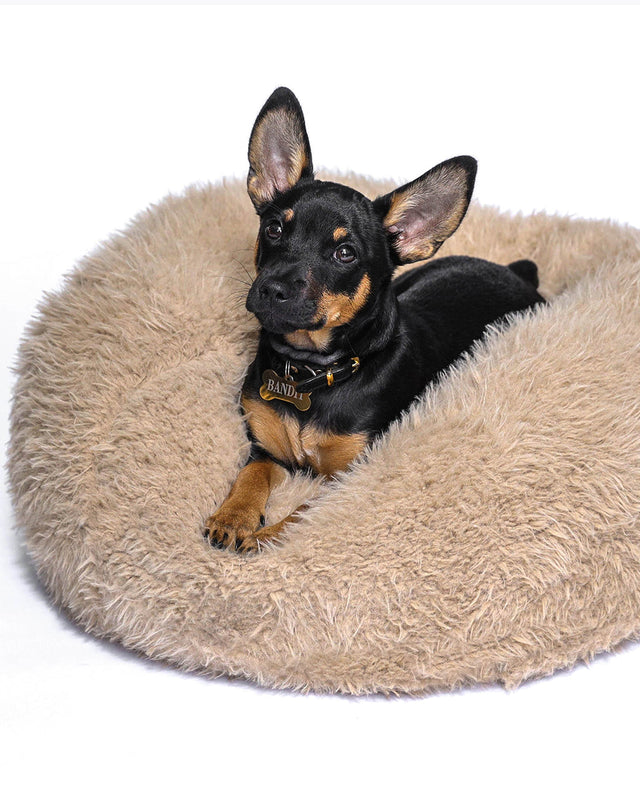 POD PET BED