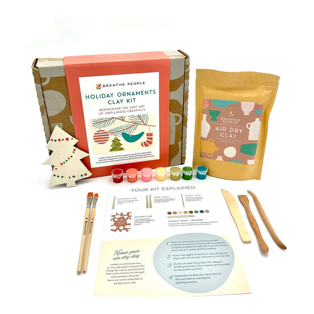 Holiday Ornaments Clay Date Activity Kit