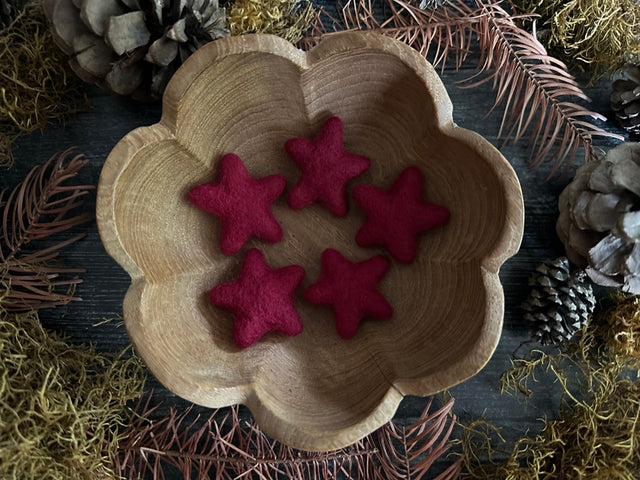 Felted Wool Star