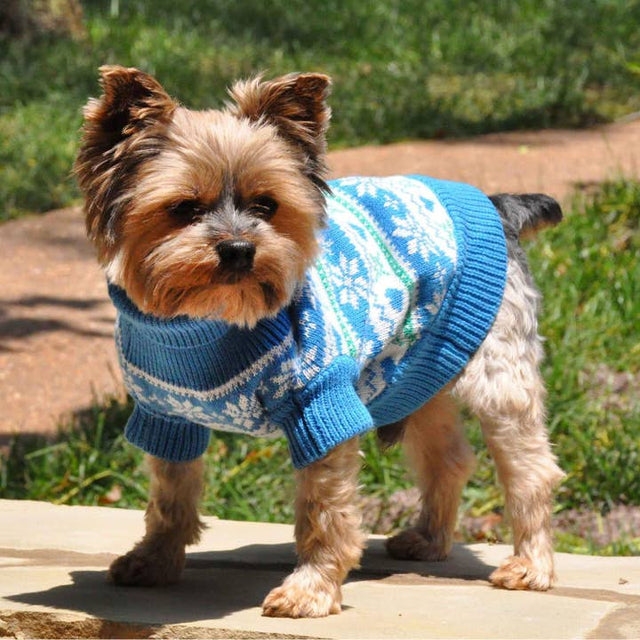 Combed Cotton Snowflake and Hearts Pet Sweater - Blue