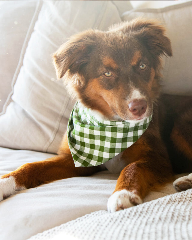 GINGHAM BANDANA