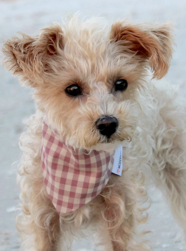 GINGHAM BANDANA