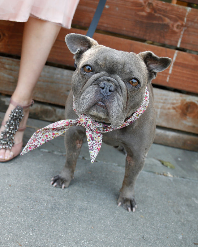 CLASSIC NECKTIE