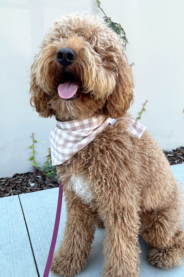 GINGHAM BANDANA