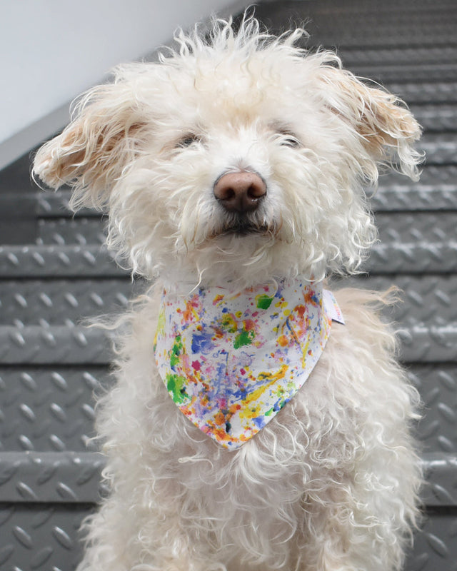 PRIDE BANDANAS