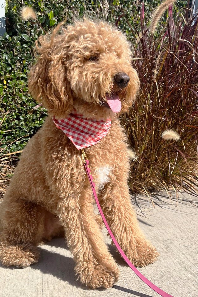 GINGHAM BANDANA