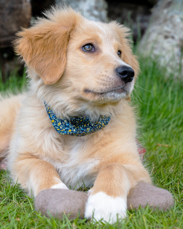 FLORAL BANDANA