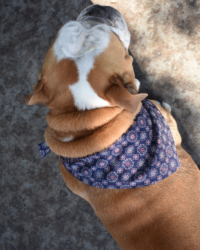 CLASSIC BANDANA