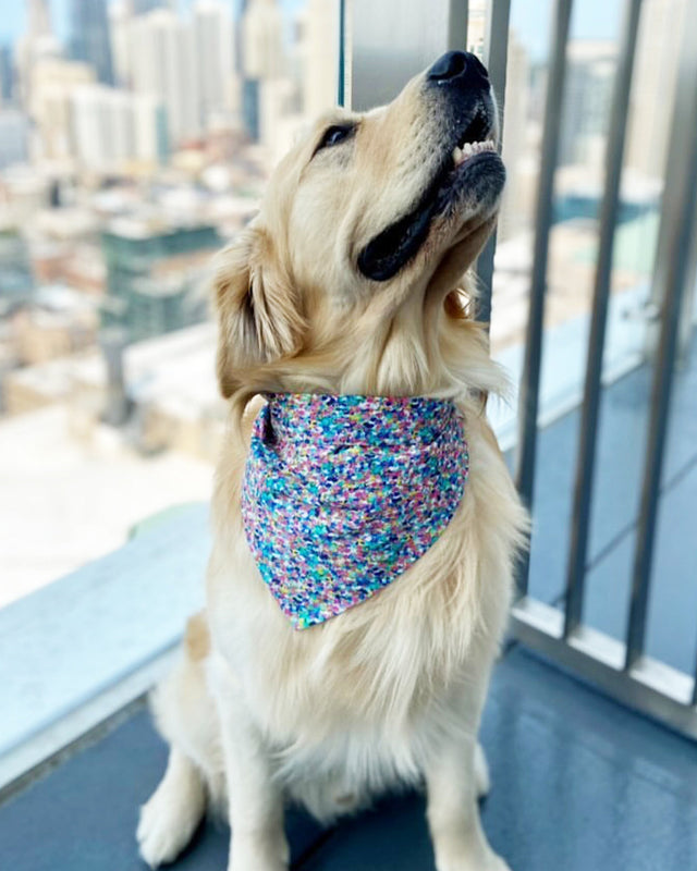 PARTY BANDANA