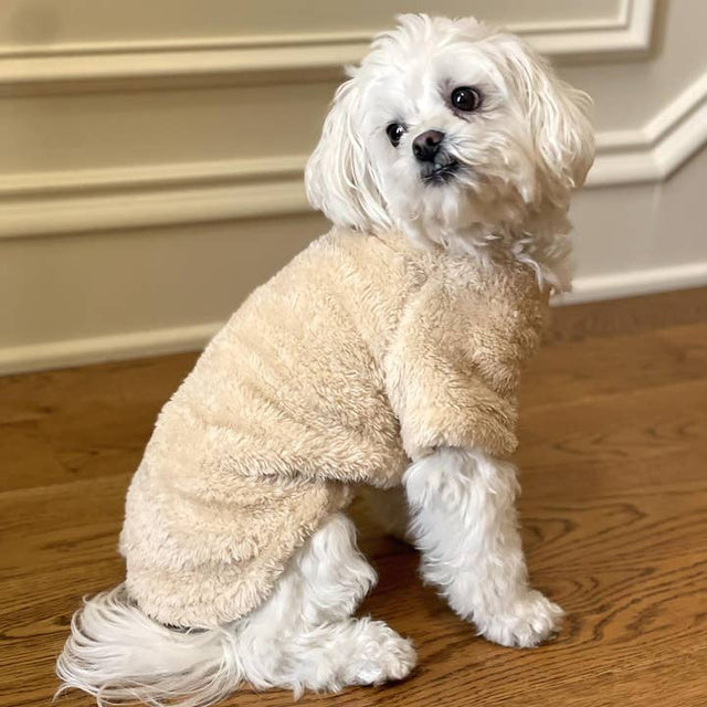 Soft Plush Dog Pullover - Cream