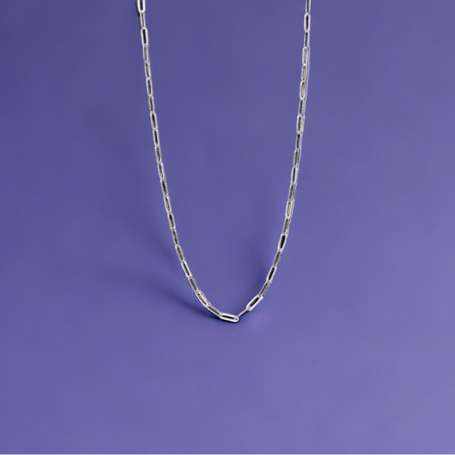 Silver Paper Clip Chain Necklace