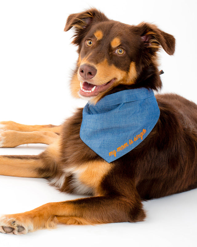 EMBROIDERED BANDANA