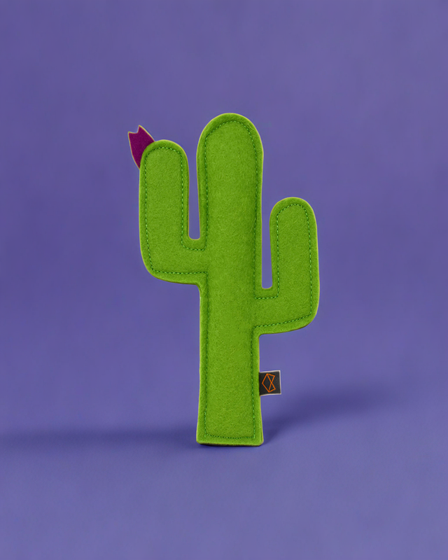 KITTY CACTUS