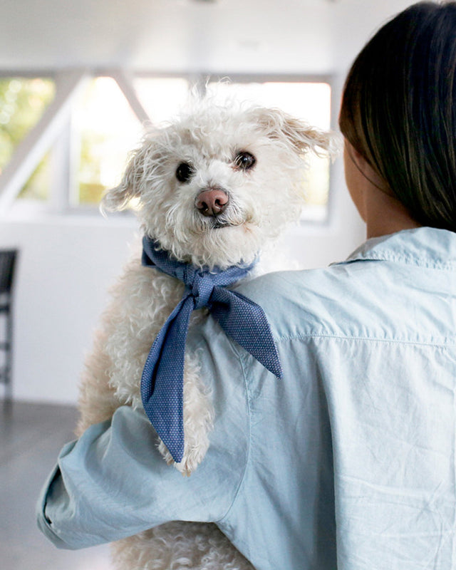 CLASSIC NECKTIE