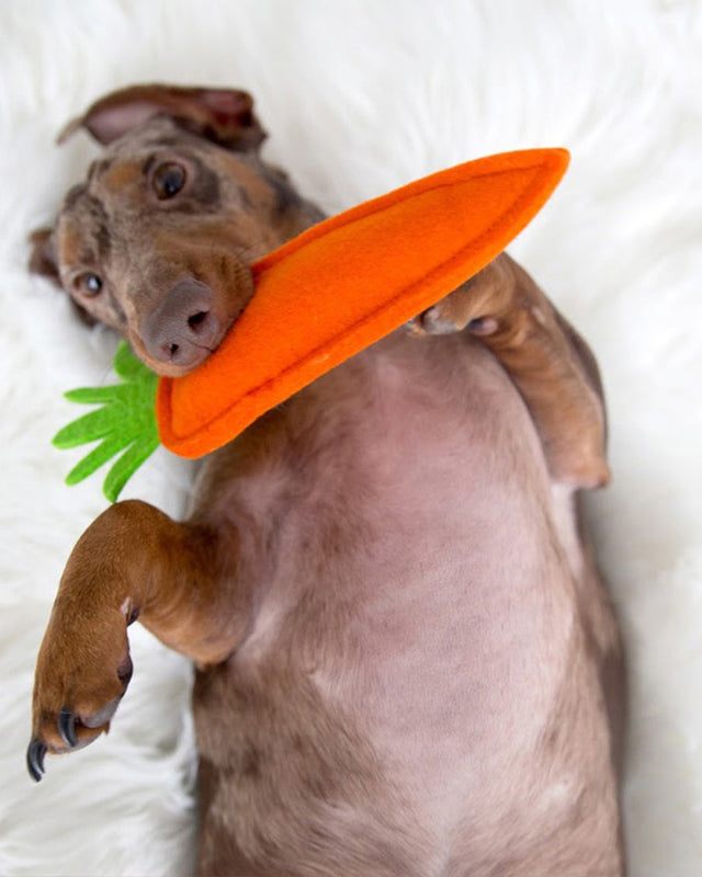 PUPPY CARROT