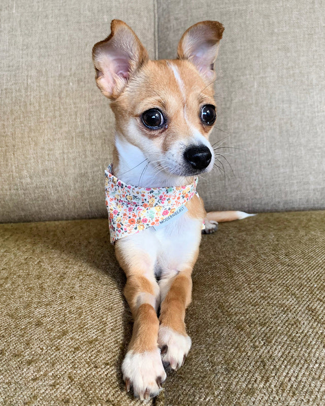 FLORAL BANDANA