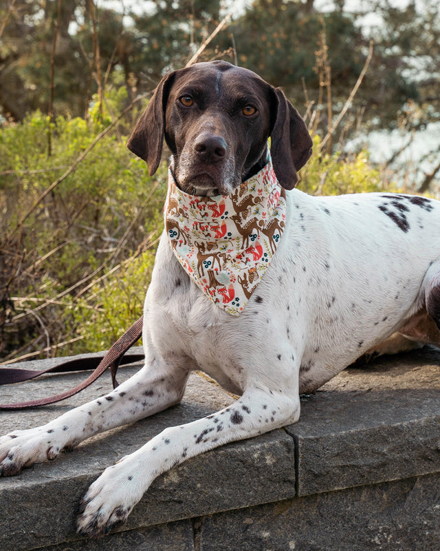 ADVENTURE BANDANA